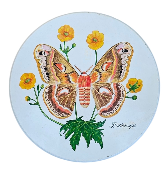 Vintage Tom Sturgis Pretzels Tin Butterfly & Flora Scenel Decorative - Picture 5 of 10